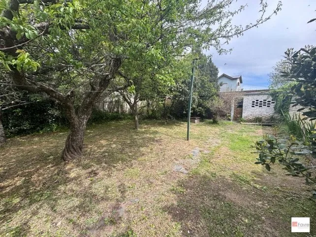 Casa en Venta en Tandil: 3 Dormitorios con Patio y Parrilla, Av. Dorrego 137, Tandil - foto 8